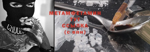 прущие грибы Куйбышев