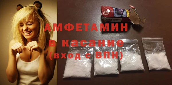 прущие грибы Куйбышев