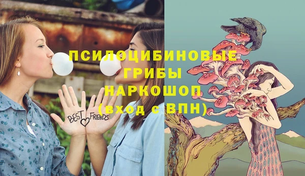 прущие грибы Куйбышев