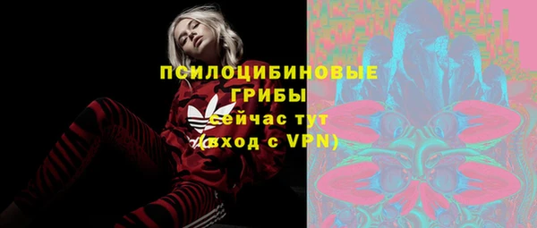 прущие грибы Куйбышев