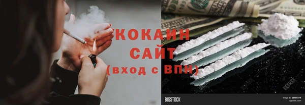 прущие грибы Куйбышев