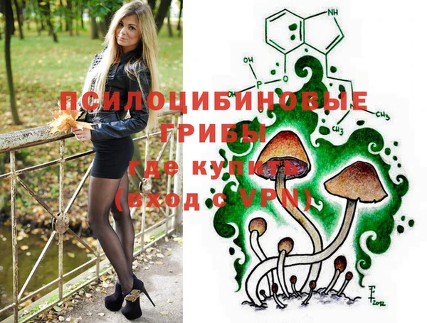 дмт Кукмор