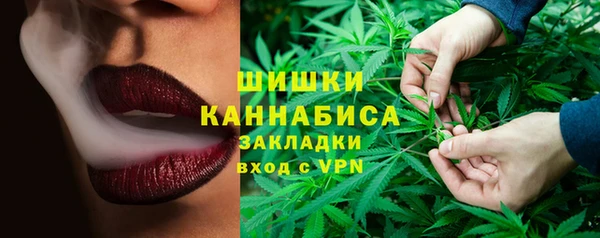 прущие грибы Куйбышев