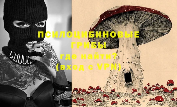 прущие грибы Куйбышев