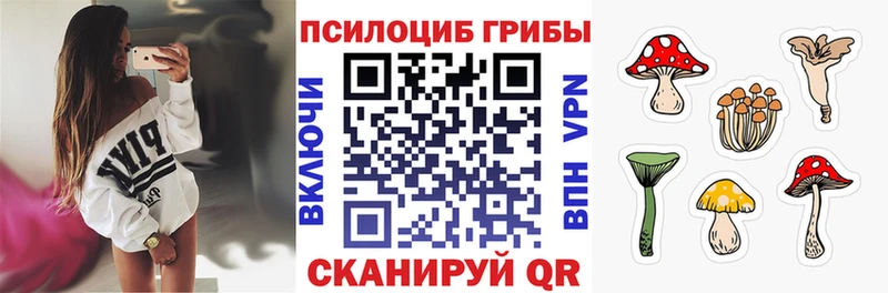 Купить где Тамбов Галлюциногенные грибы мухоморы
